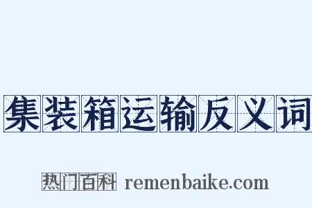 集装箱运输反义词是什么意思的图片